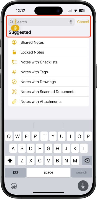 You get more search options when the Notes app is open